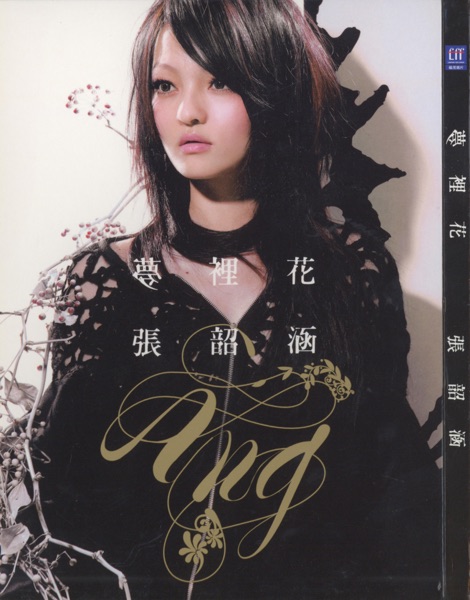 梦里花 专辑封面