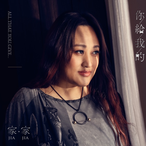 你给我的  专辑封面