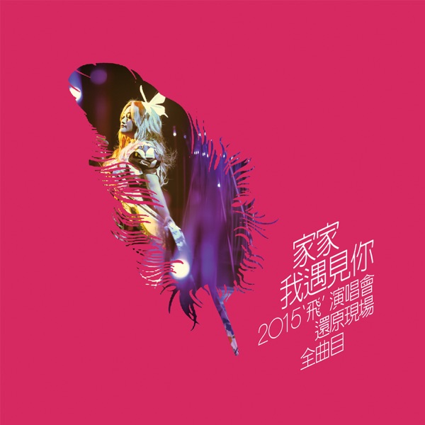 ［我遇见你］2015‘飞’演唱会还原现场全曲目LIVE  专辑封面