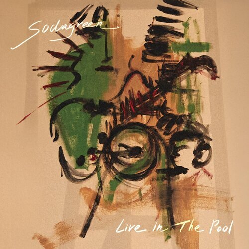 Live in The Pool 专辑封面
